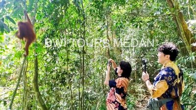3D2N Medan – Bukit Lawang – Tangkahan: Jungle Trekking, Wildlife Adventure (Beyond the Trek) - Image - 13661